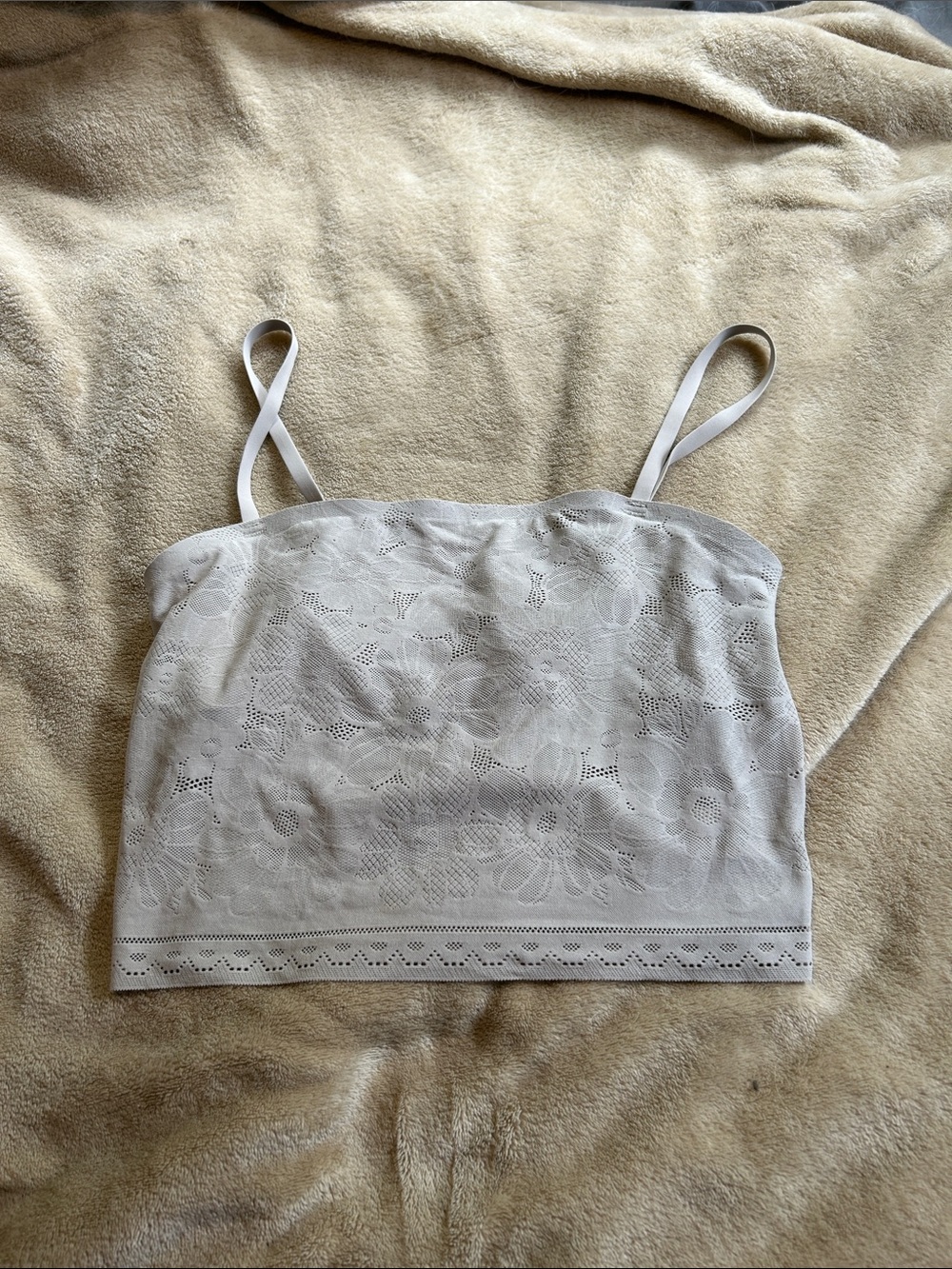 Aerie Lace Floral Cropped Tank Top - Cream